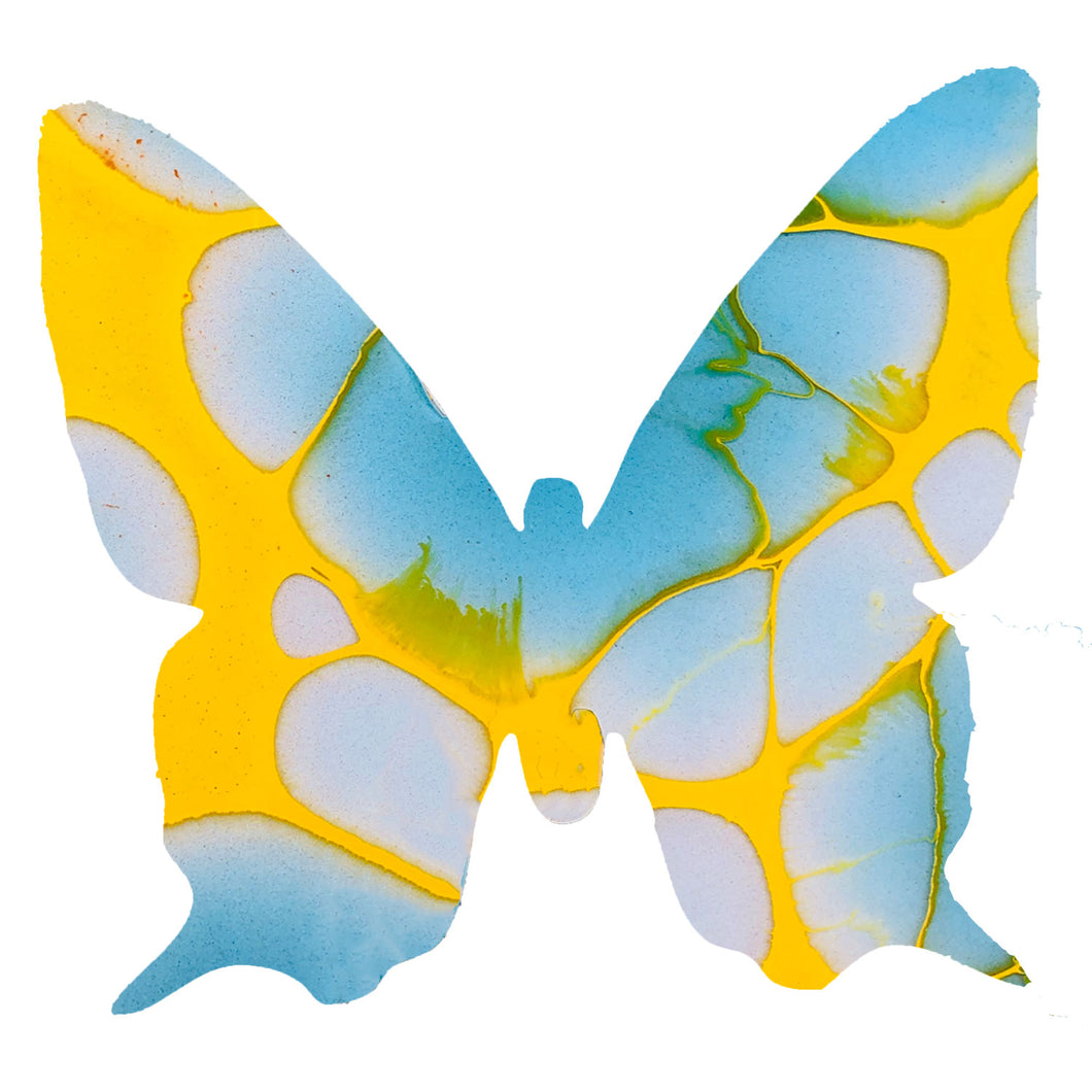 Large CLOUD ATLAS Butterfly