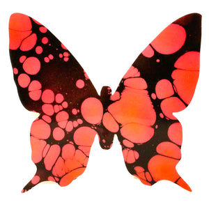 Large POPPY Butterfly